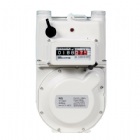 微電腦智能瓦斯表MT40MS-A3
